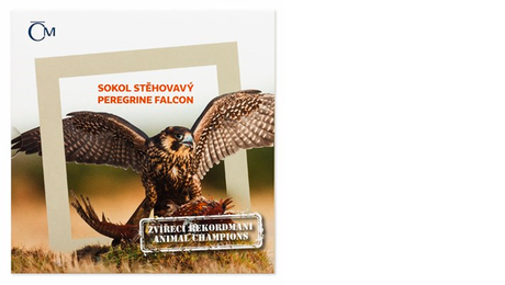 Niue 1 NZD Animal Champions Falcon Silver 2019