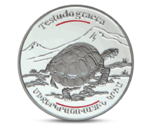 Red Book of Armenia - Mediterranean Tortoise 