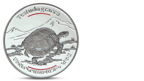Red Book of Armenia - Mediterranean Tortoise 