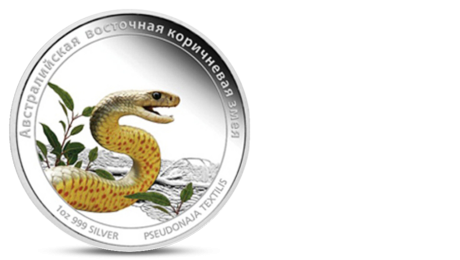 Eastern Brown Snake Danger