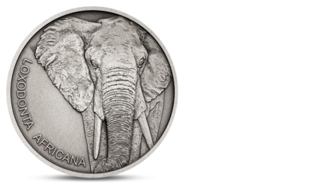 Niue 1 NZD Animal Champions African Elephant Slon 2020