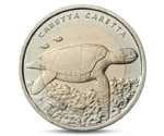 Fauna Turtle