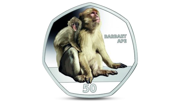 NEW ISSUE COLORED 50 PENCE UNC COIN 2018 YEAR MONKEY CHIMPANZEE GIBRALTAR