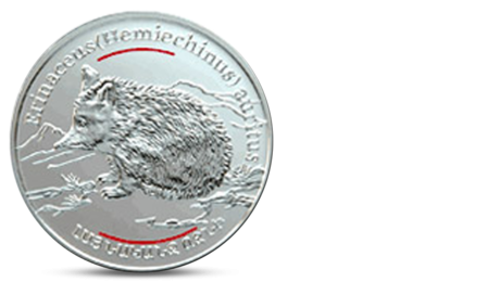Red Book of Armenia - The Wide-Eared Hedgehog 