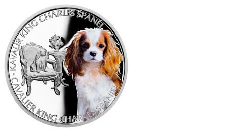 Niue 1 NZD Dog Breeds - Cavalier King Charles Spaniel 2023 PROOF